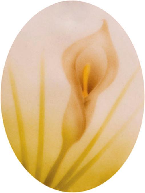 Actual product image Martellato Airbrush stencil 2 callas lilies