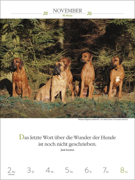 Produktbild Literaturkalender Hunde 2026 (Spezial)