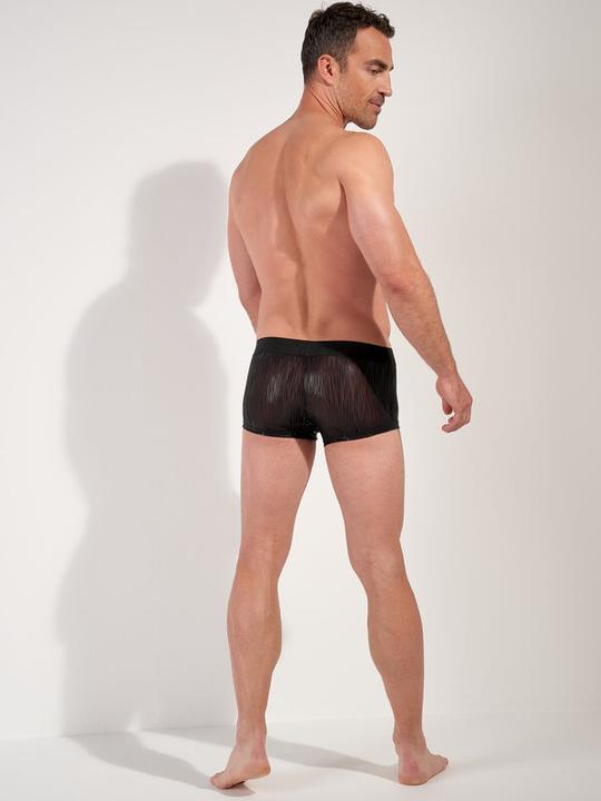 Produktbild HOM Trunk Trunk Strip (L, Einzelpack)