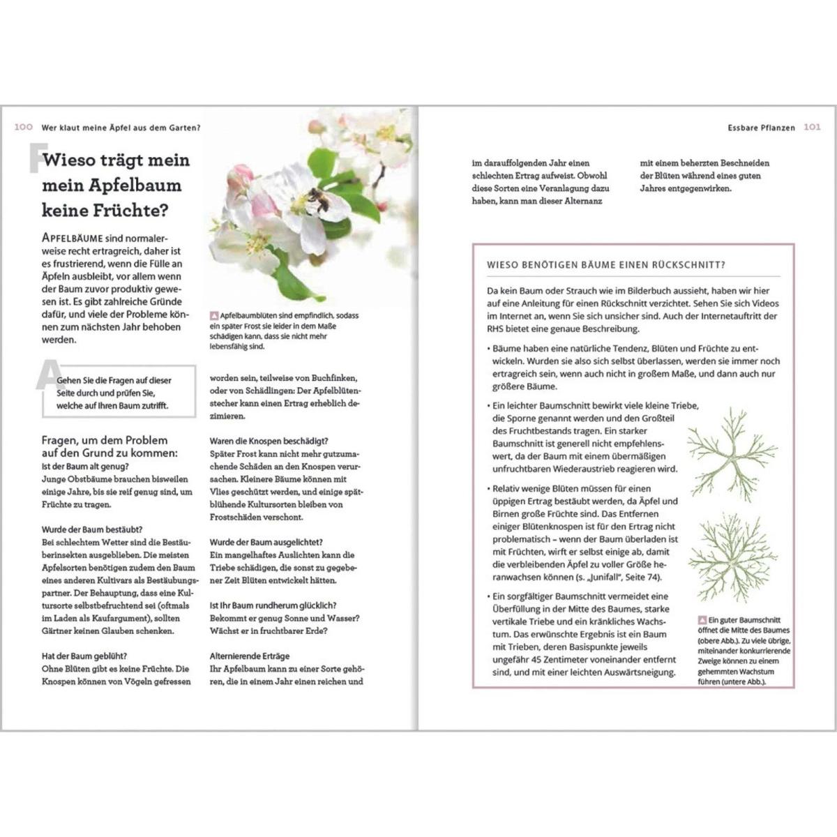 Thumbnail - Wer klaut meine Äpfel aus dem Garten, Sachbücher von Guy Barter