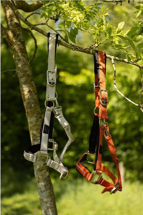Image du produit BR Equestrian Equipment Kimberly