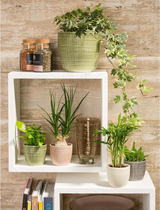 Produktbild Scheurich Corteza (25.50 x 22.10 cm)