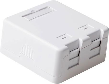 Scatola Keystone montata a superficie 2 porte