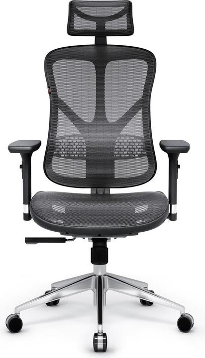 Diablo V-Basic - Noir/Gris