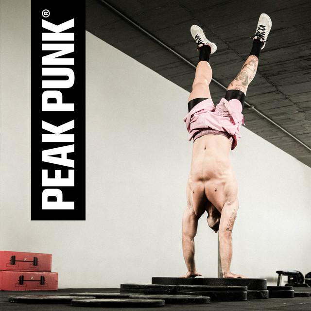 Produktbild Peak Punk Bio High Protein Shake (Schokolade, 1 Stk., 250 g)
