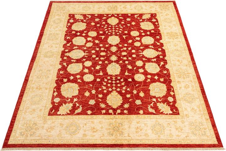 Produktbild Vidal Ziegler