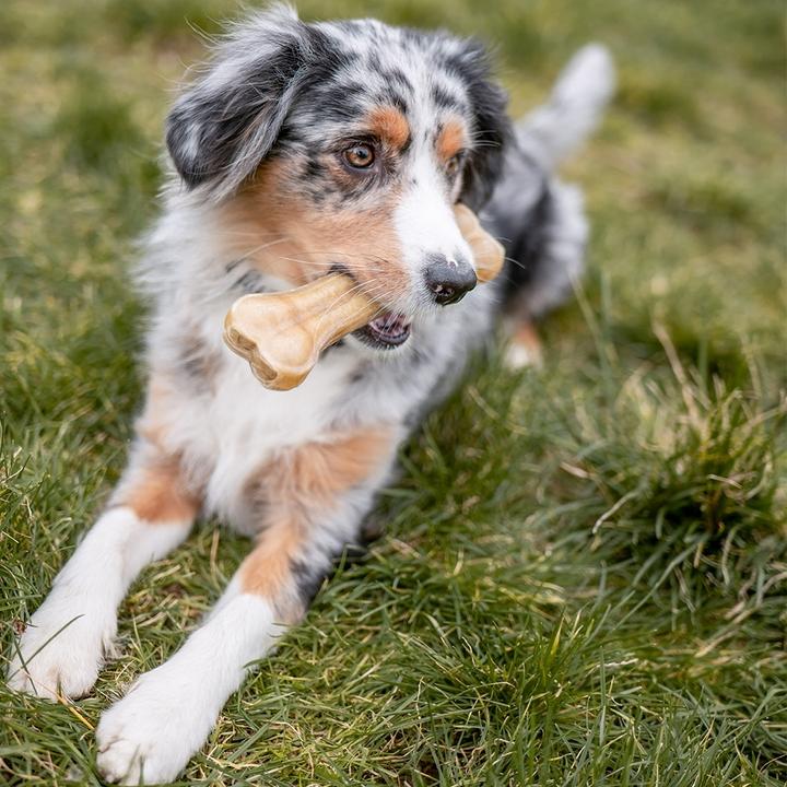 Actual product image Nobby Chew bone pressed (5 pcs., 40 g)