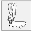 Immagine prodotto Topstar Point 70