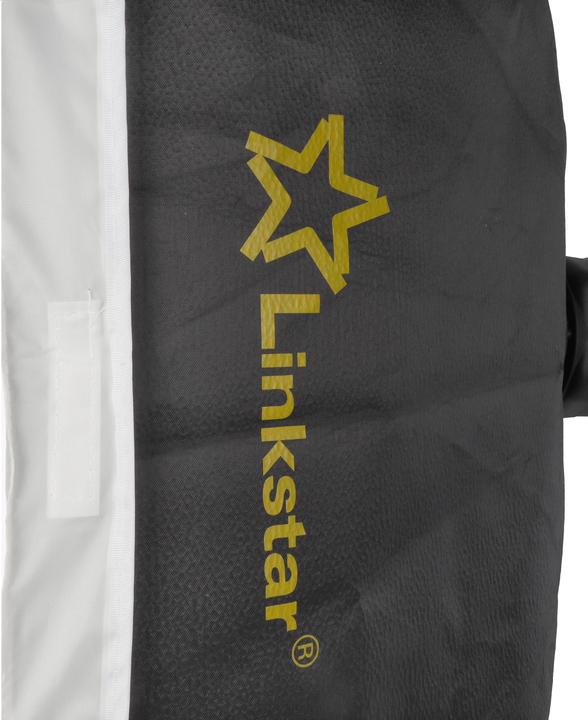 Image du produit Linkstar Kit flash de studio LFK-250D Digital (250 W, Set)