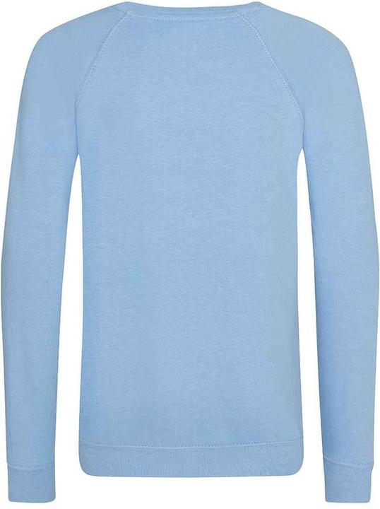 Actual product image Awdis Academy school sweatshirt round neck (164)