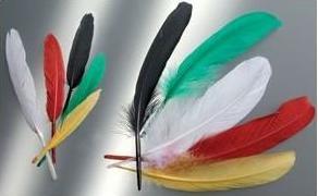 Produktbild Glorex Indianerfeder