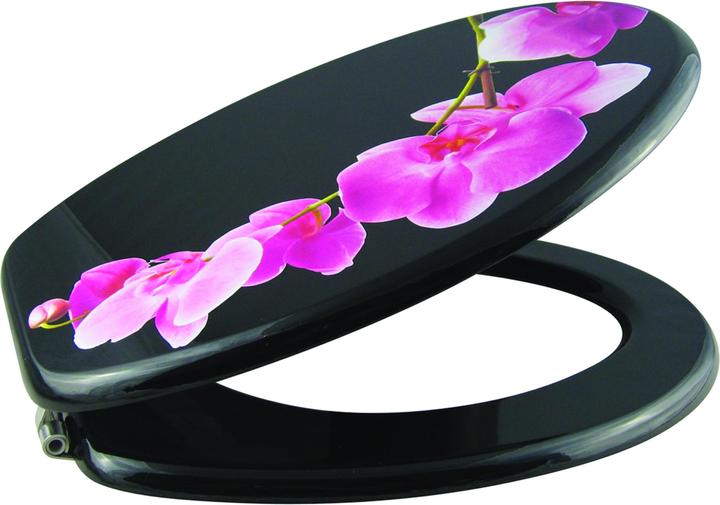 Image du produit MSV Lanyu