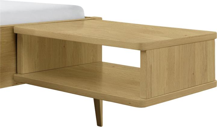 Immagine prodotto Hasena Seva (48 x 38 x 16 cm)