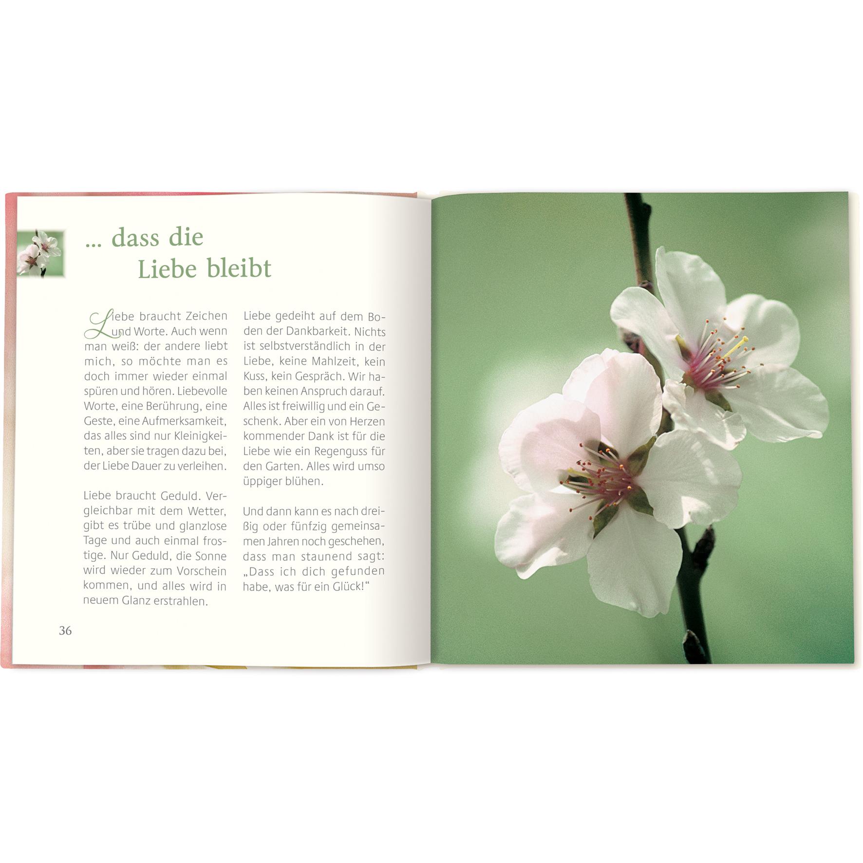 Thumbnail - … dass die Liebe bleibt, Ratgeber von Ruth Rau