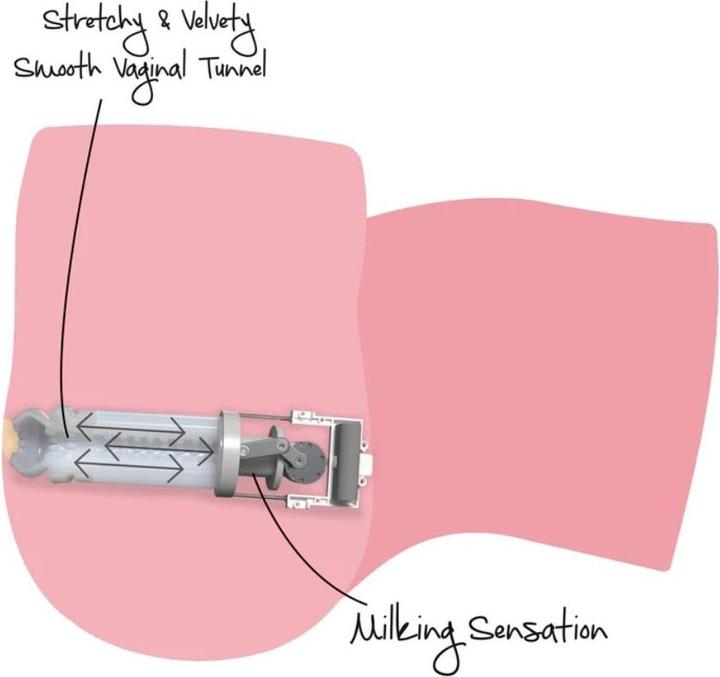 Produktbild Hidden Desire Big Ass Milking Bitch