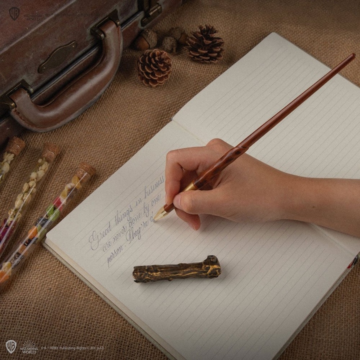 Actual product image Cinereplicas Harry Potter: Bacchetta di Harry Potter