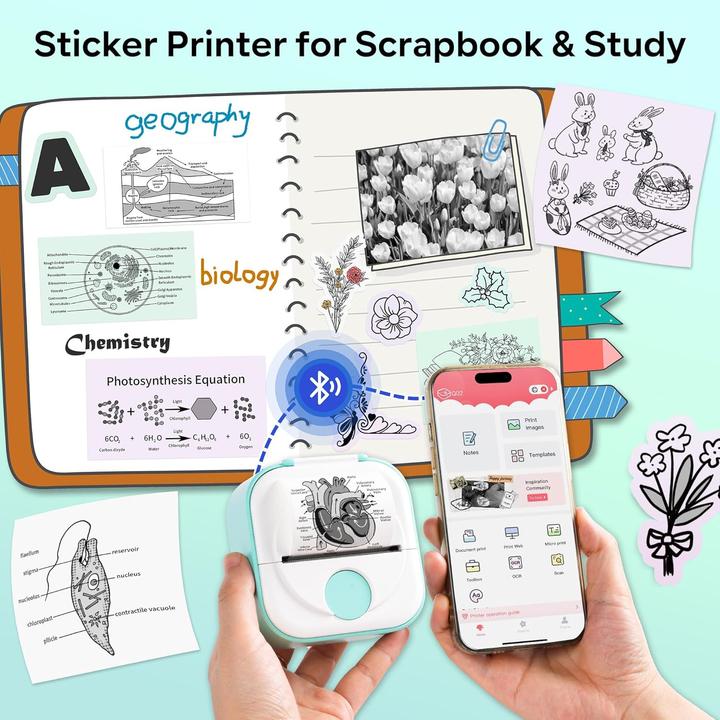 Immagine prodotto Phomemo Q02 GRN (203 dpi)