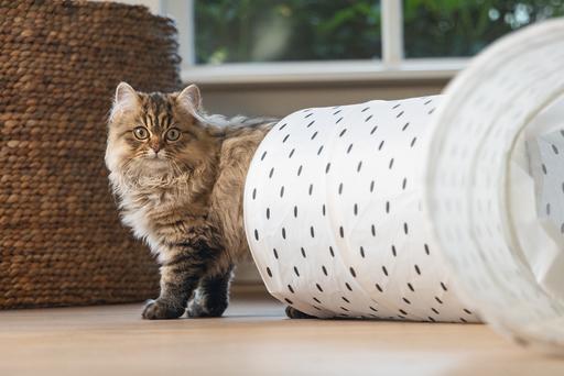 Produktbild Beeztees Katzentunnel Leo (Katzentunnel)