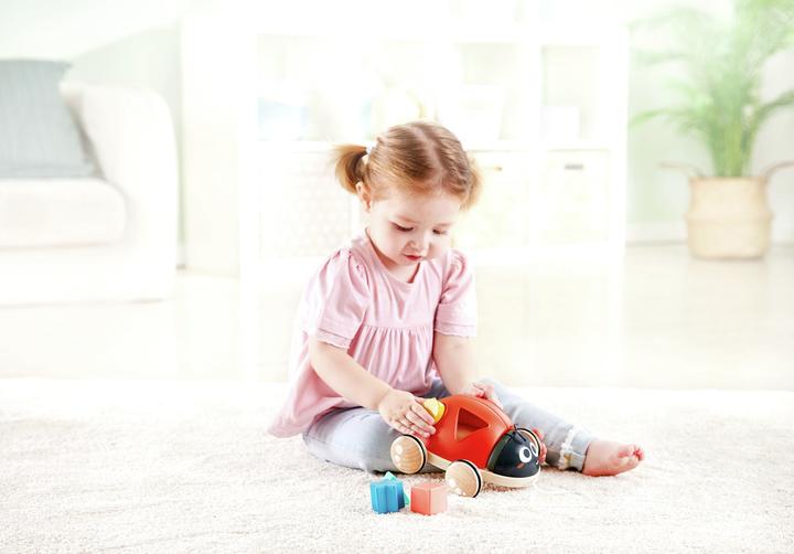 Actual product image Hape Shape sorter ladybug