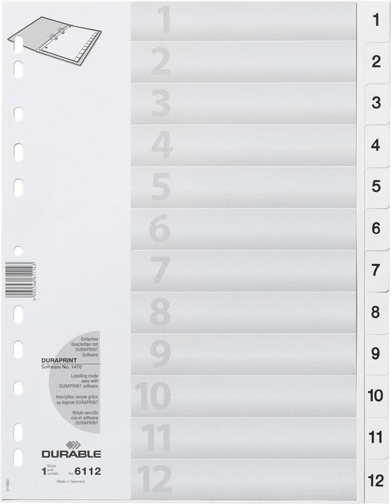 Actual product image Durable Index A4 1-12, with index sheet