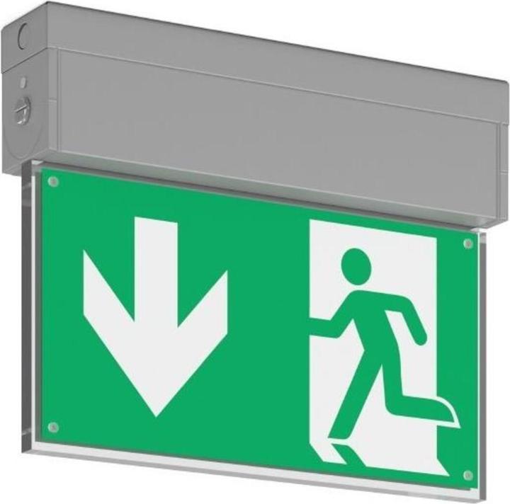 Actual product image RZB LED emergency light