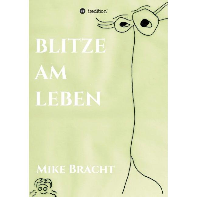 Blitze am Leben, Belletristik