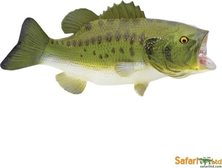 Produktbild Safari Forellenbarsch