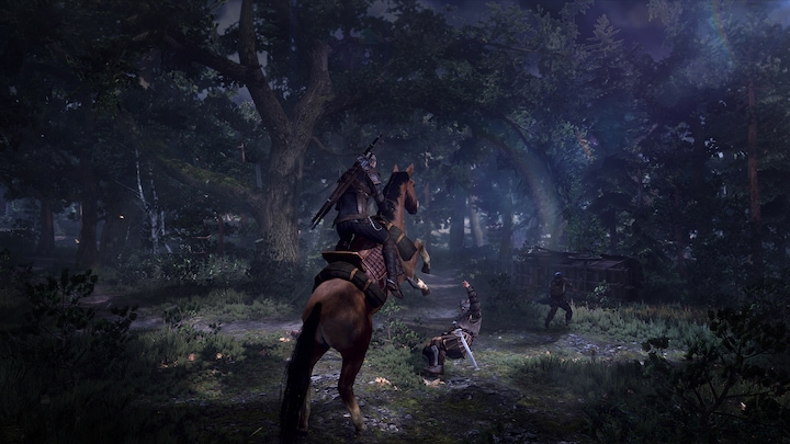 Immagine prodotto The Witcher 3 : Wild Hunt