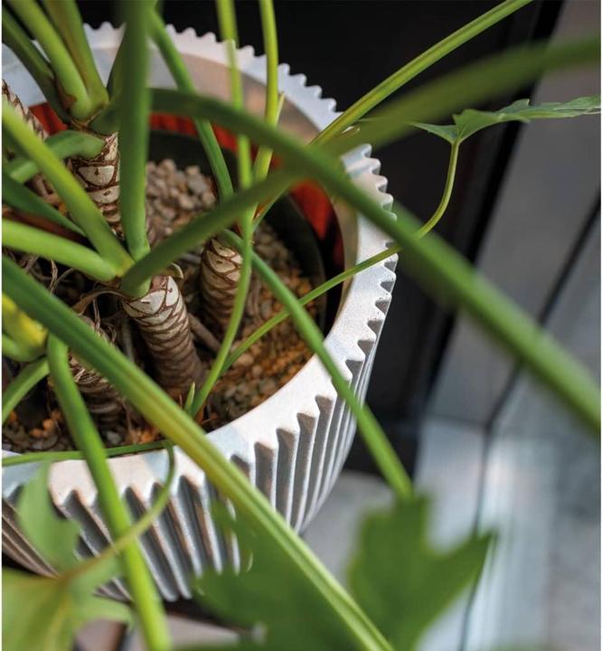 Produktbild Capi Romain (34 x 46 cm)