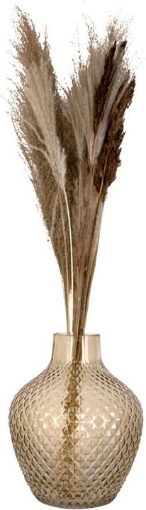 Actual product image present time Delight