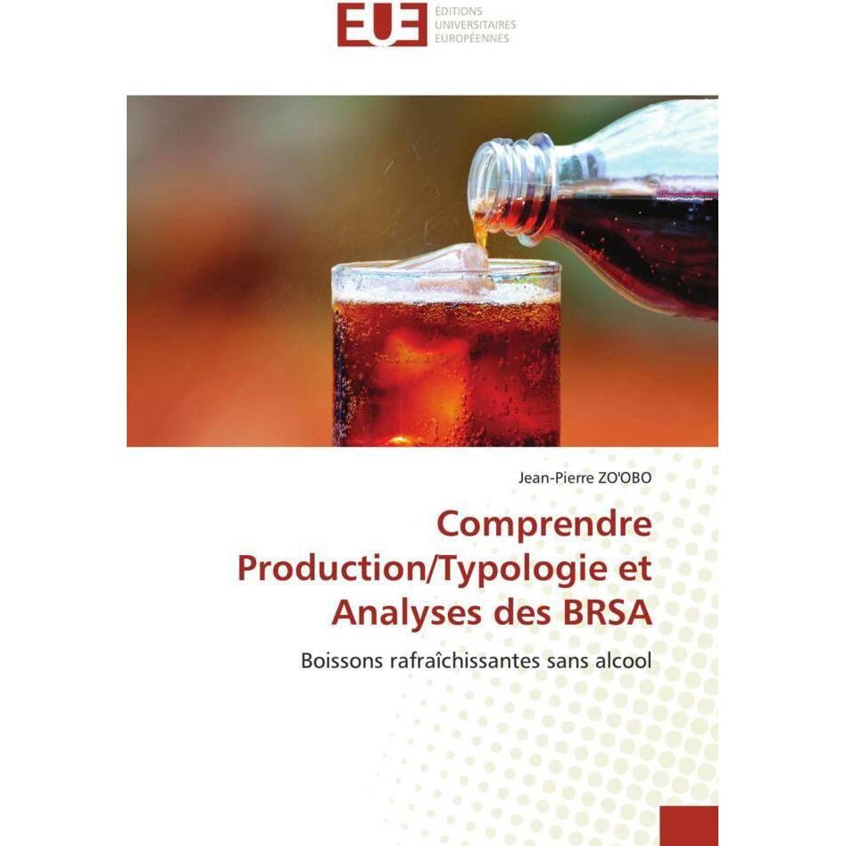 Comprendre Production/Typologie et Analyses des BRSA, Fachbücher von Jean-Pierre ZO'OBO