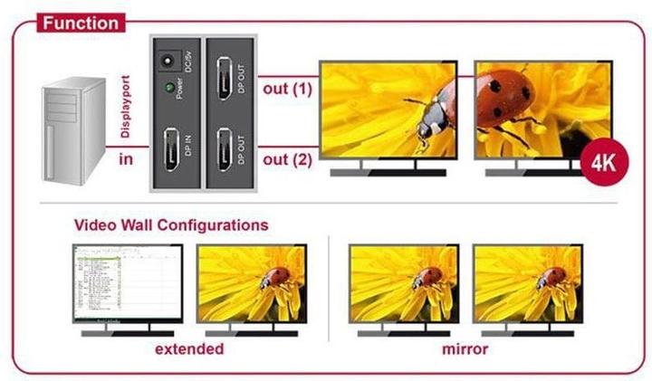 Produktbild Delock DP zu 2 x (DP, 10 cm)