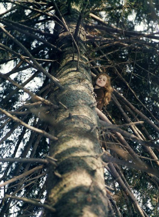 Image du produit Trois noisettes pour Cendrillon - Édition spéciale (Blu-ray, 2024, Allemand)