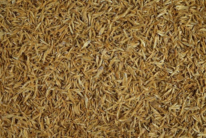 Produktbild Tetra Anchovies 250ml (250 x, 0.08 kg)