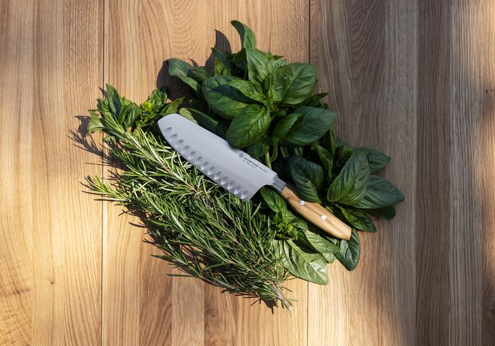Image du produit Wüsthof Amici Santoku (17 cm)