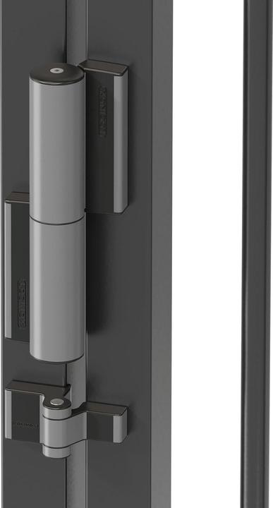 Productafbeelding Locinox Poortscharnier en poortdranger TIGER