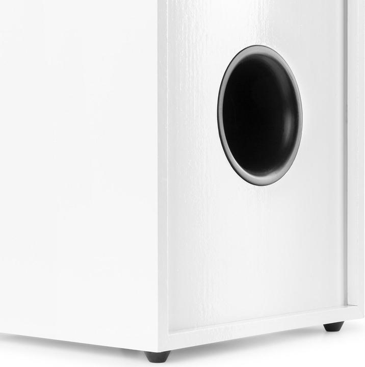 Immagine prodotto Fenton Coppia di diffusori da pavimento SHF700W Bianco, Colore dettagliato: Bianco (1 coppia, 200 W)