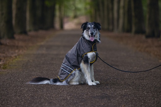 Image du produit Beeztees Manteau de pluie pour chien Seja (XL, Imperméable pour chien)