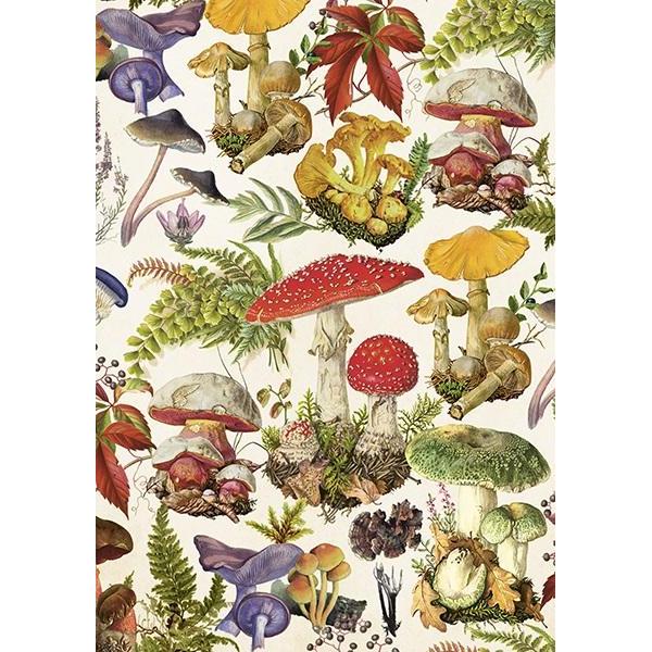 Sköna Ting, Biglietto di auguri + Carta da lettere, ST462 B6 Karte + Umschlag Pilzwald