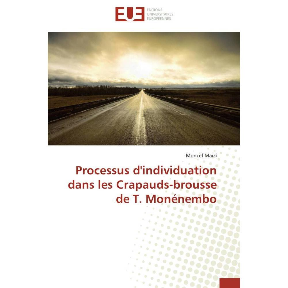 Processus d'individuation dans les Crapauds-brousse de T. Monénembo, Fachbücher von Moncef Maïzi