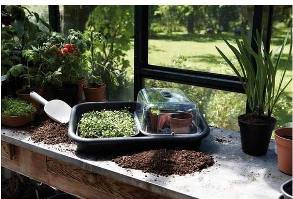 Actual product image Elho Basic garden tray