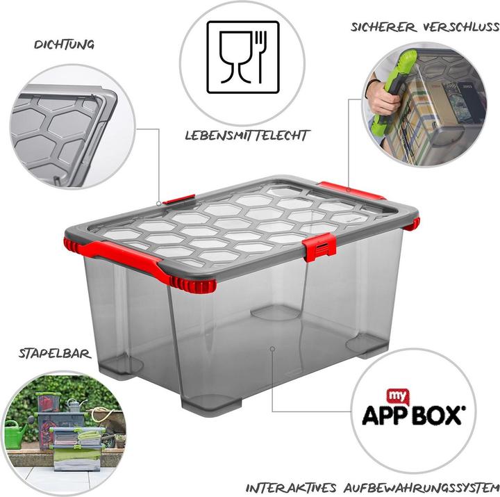 Produktbild Rotho Evo Total (39.50 cm, 44 l, 1x)