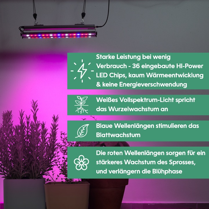 Actual product image Parus by Venso plant fitting GrowLight Quattro 60W, stimulation of photosynthesis and chlorophyll fo (LED, 245 V)
