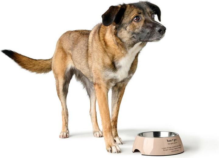 Produktbild Hunter Futternapf für Hunde LUTON 700 ml (70 cl)