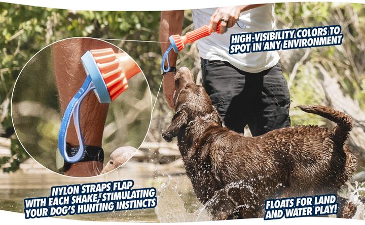 Actual product image Chuckit! Rugged Bumper