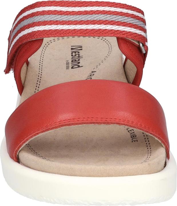 Actual product image Westland 25404-410 (42)