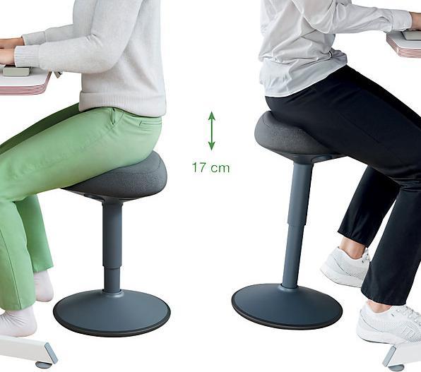 Produktbild Leitz Ergo Active