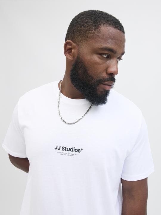 Actual product image Jack & Jones Jjesoho Tee Ss Crew Neck Noos Pls (4XL)