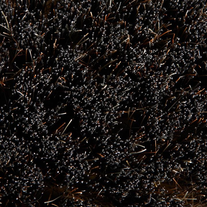 Image du produit Fouganza Brosse en bois pour chevaux