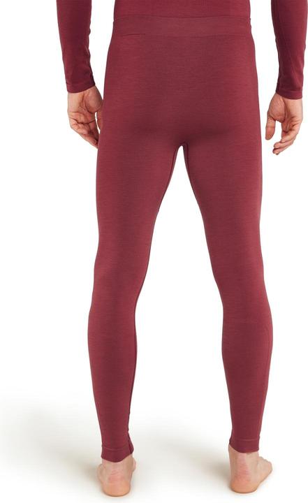 Image du produit Icebreaker Mérino 260 Zoneknit Seamless Tights (L)